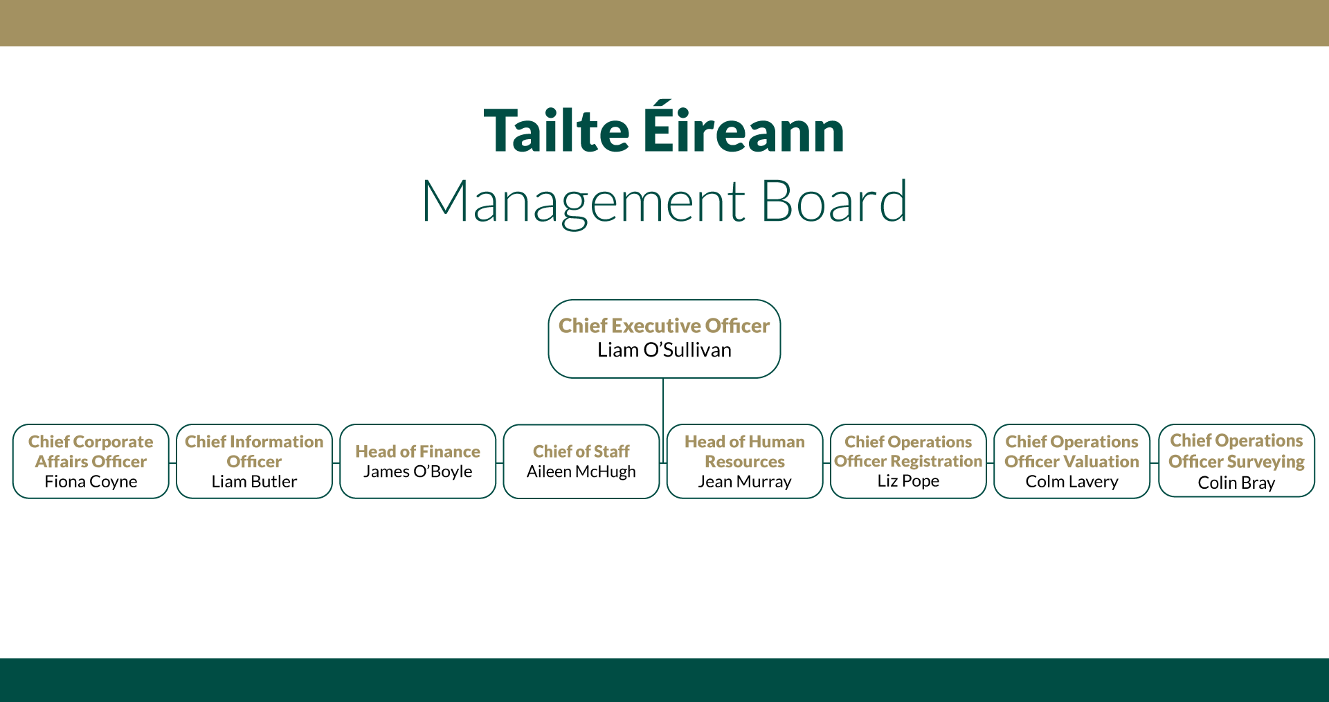 TE-management-board
